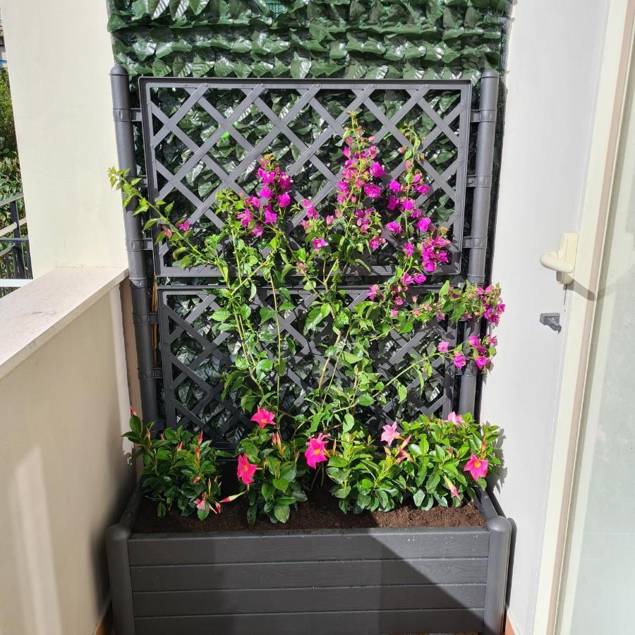 Maison Flavia Sorrento Exterior foto